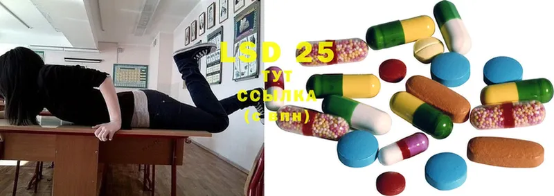 ЛСД экстази ecstasy  ОМГ ОМГ как зайти  Котлас  хочу  